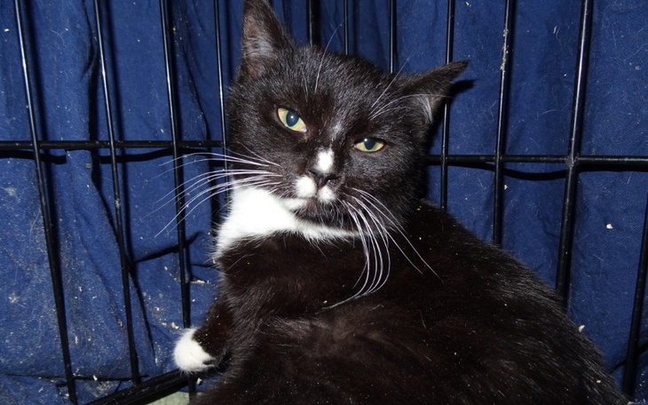 Zbiórka Ratujemy Ścichapęka - zdjęcie główne