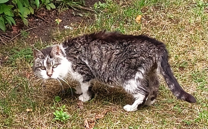 Zbiórka Wpłacając pomagasz dwa razy - zdjęcie główne