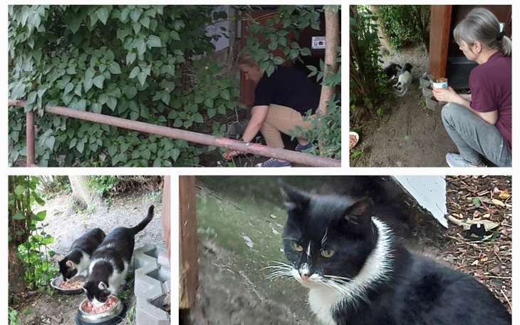 Zbiórka Bydgoskie Podgórniaki - zdjęcie główne