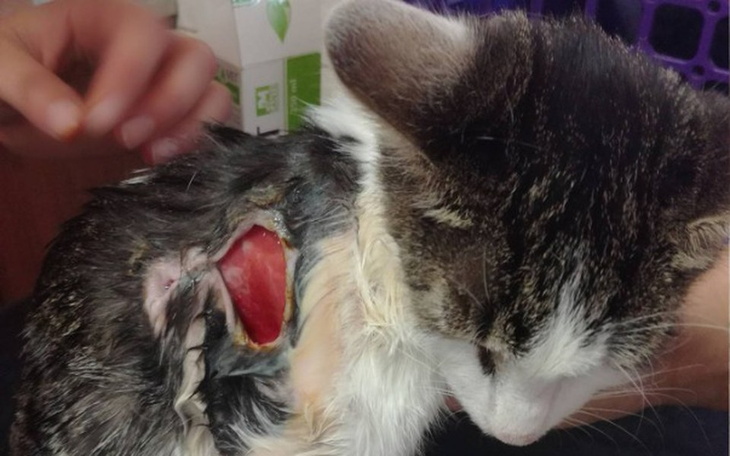 Zbiórka Magiczne Pudełko - zdjęcie główne