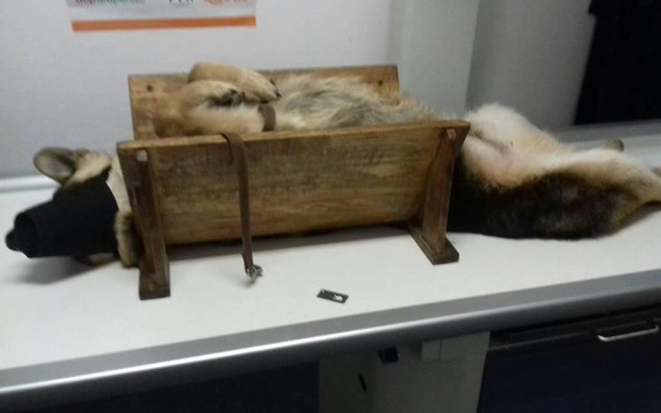 Zbiórka Zbiórka na leczenie Dżekiego - zdjęcie główne