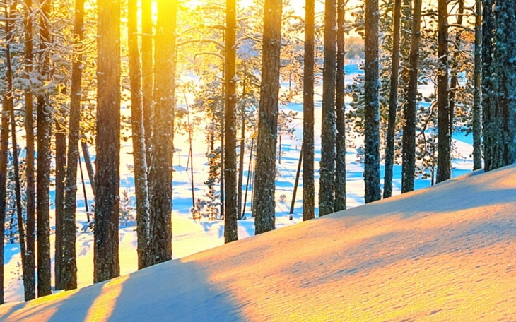 Zbiórka Narzedzia - zdjęcie główne