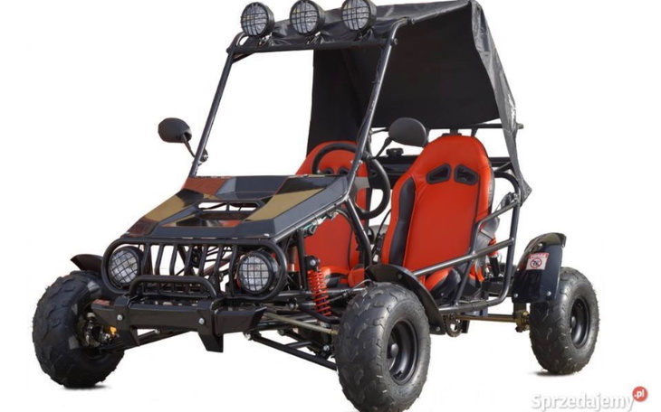 Zbiórka Na wymarzonego gokarta buggy - zdjęcie główne