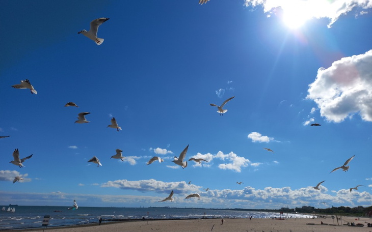 Zbiórka Wyrwanie się z depresji - zdjęcie główne