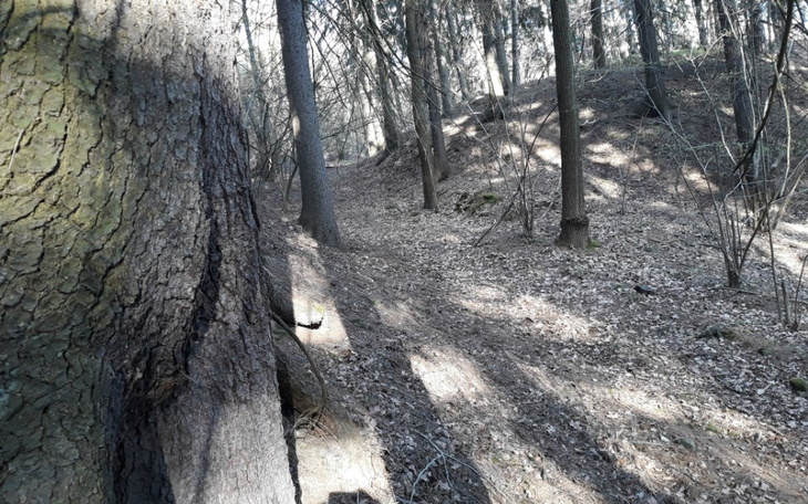 Zbiórka Muzyka. sport, zdrowie - zdjęcie główne