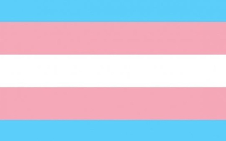 Zbiórka zbiórka na tranzycje hrt - zdjęcie główne