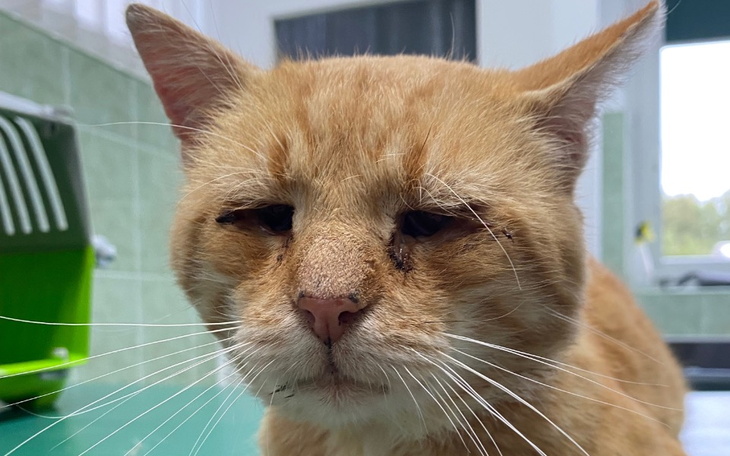 Zbiórka Na jesień życia Rudego - zdjęcie główne