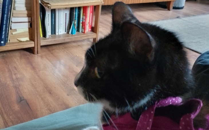 Dziecko i niemowlę zbliżają się do siebie, uśmiechając się.