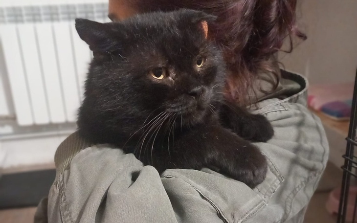 Zbiórka Na oddech Nigerka - zdjęcie główne