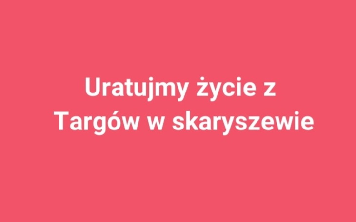 Zbiórka Uratujmy życie z targów - zdjęcie główne