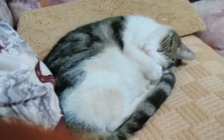 Zbiórka zbiórka na Maćka - zdjęcie główne