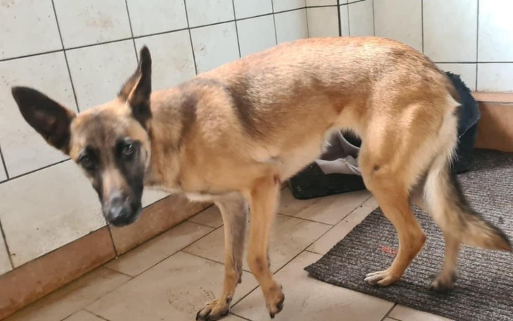 Zbiórka Rezonans głowy. - zdjęcie główne