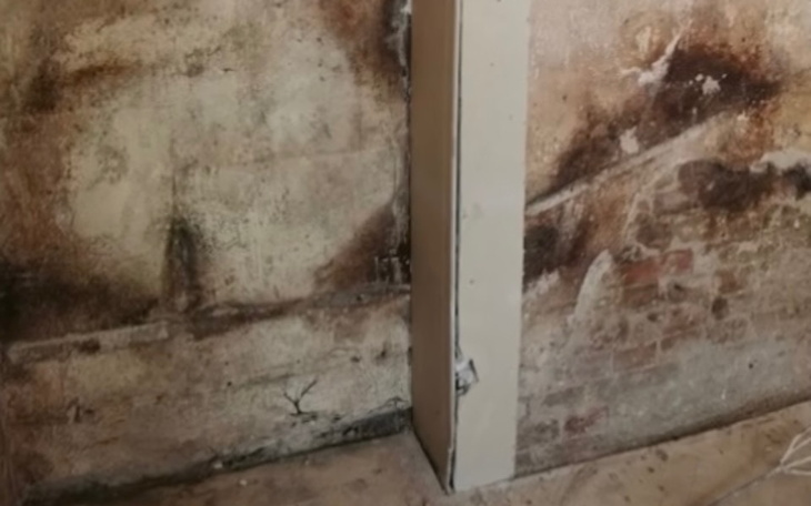 Zbiórka Pomoc dla Pani Felicji i Wiktori - zdjęcie główne