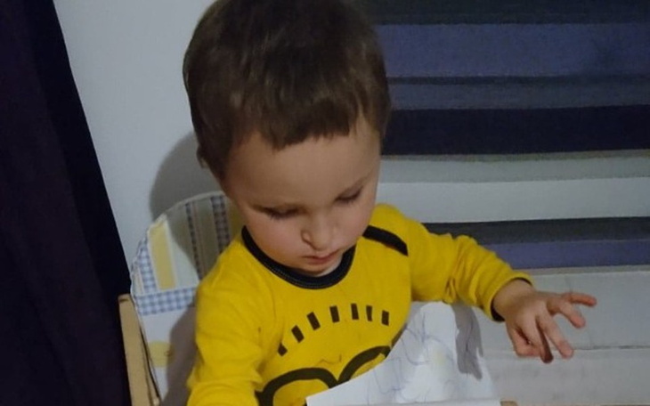 Zbiórka Delfinoterapia dla Natusia - zdjęcie główne