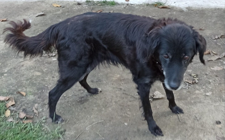 Zbiórka Przepraszam że żyje - zdjęcie główne