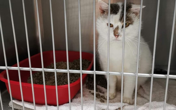 Zbiórka Zdrowie w prezencie - zdjęcie główne