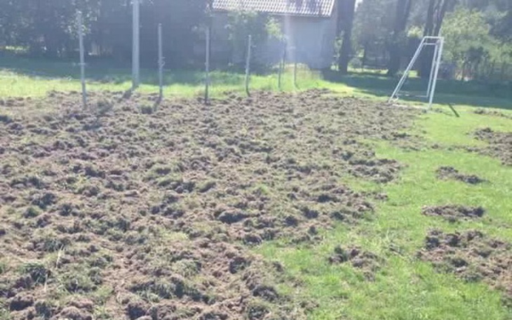 Zbiórka Rewitalizacja Boiska PKS Radość - zdjęcie główne