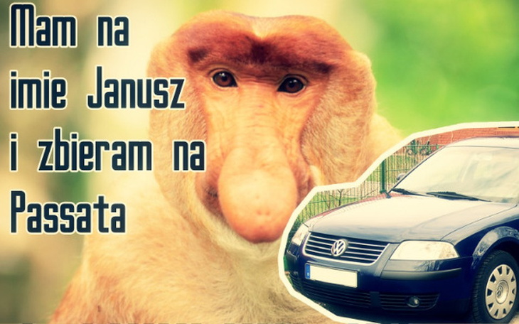 Zabawny kolaż z małpą i samochodem, z napisem o zbieraniu na Passata.