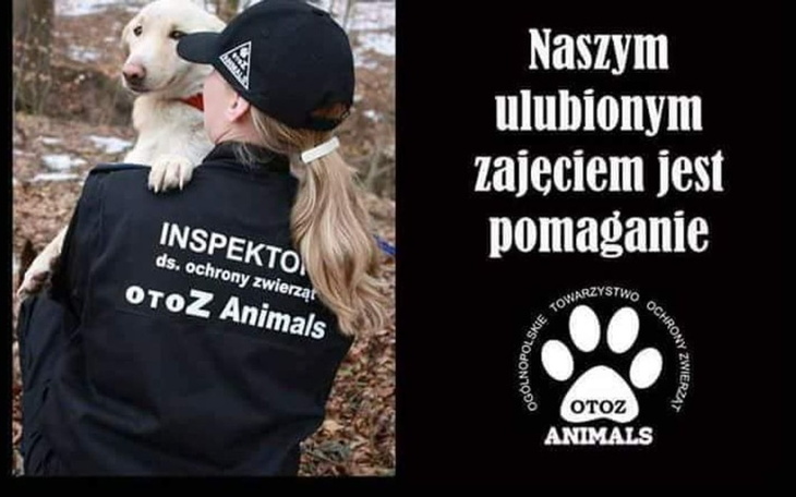 Zbiórka Wsparcie OTOZ Animals K-Koźle - zdjęcie główne