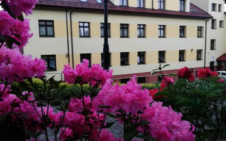 Kwiaty w różnych odcieniach różu przed budynkiem.