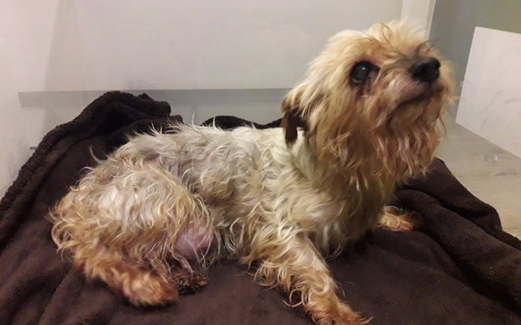 Zbiórka Nel z ulicy Jarzebinowej - zdjęcie główne