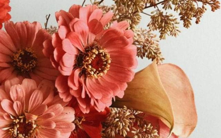 Zbiórka Zaopatrzenie świetlicy - zdjęcie główne