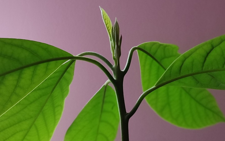 Zbiórka Dług po zmarłych dziadkach - zdjęcie główne