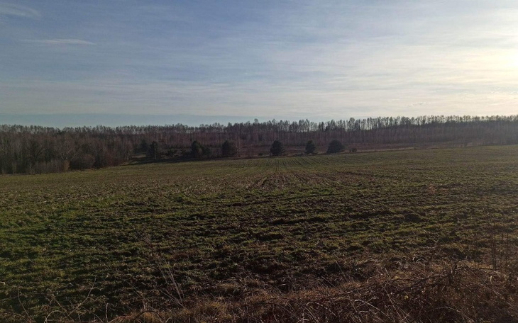 Zbiórka Na mieszkanie wreszcie swoje - zdjęcie główne