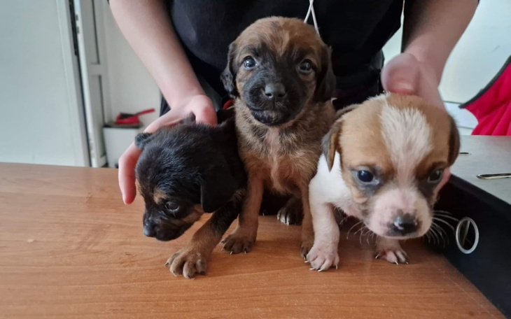 Zbiórka Pomagamy z My Fitness Place - zdjęcie główne