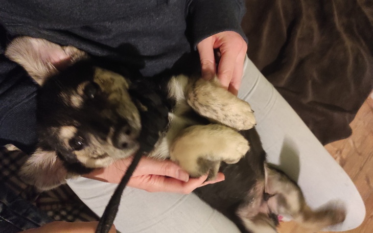 Zbiórka Chcę wyleczyć swoje zęby - zdjęcie główne