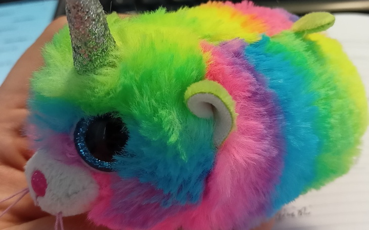 Zbiórka Płaska klatka - marzenie Franka - zdjęcie główne