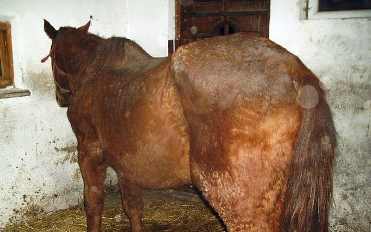 Zbiórka Ostatnia droga Jagi - zdjęcie główne