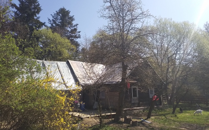 Zbiórka Zbiórka na dach po gradobiciu - zdjęcie główne