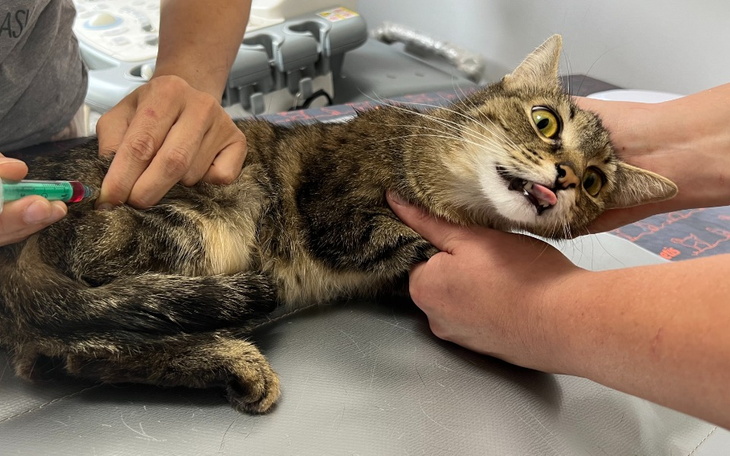 Zbiórka Nierówna walka o Florię - zdjęcie główne