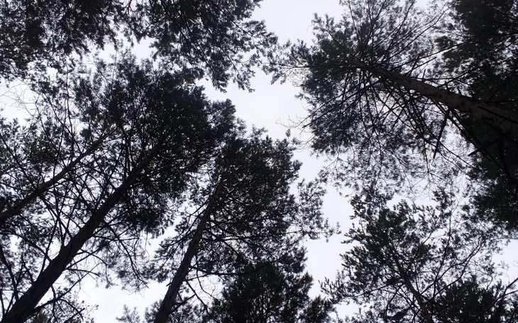 Zbiórka Trudna sytuacja, proszę o pomoc - zdjęcie główne