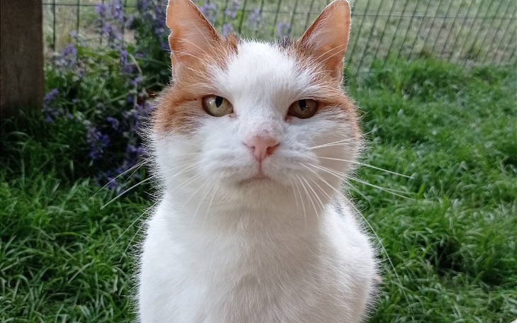 Zbiórka UROdziny Leny - zdjęcie główne