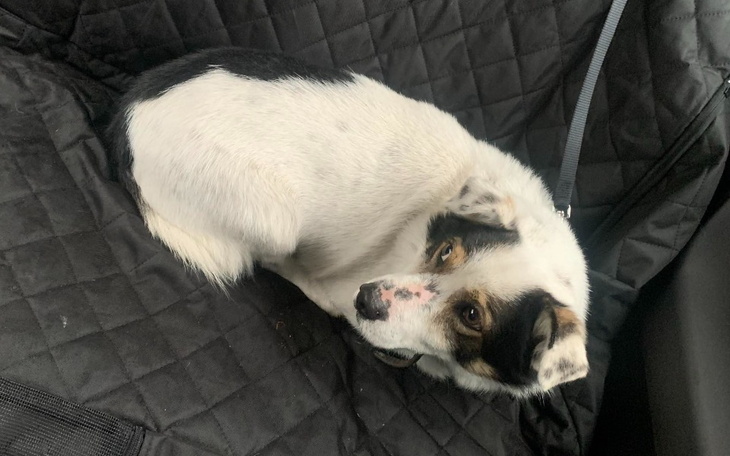 Zbiórka Kubuś - niechciany spadek - zdjęcie główne