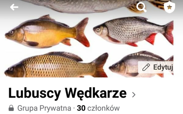 Zbiórka Zarybianie Rzeki Warty Gorzów Wl - zdjęcie główne