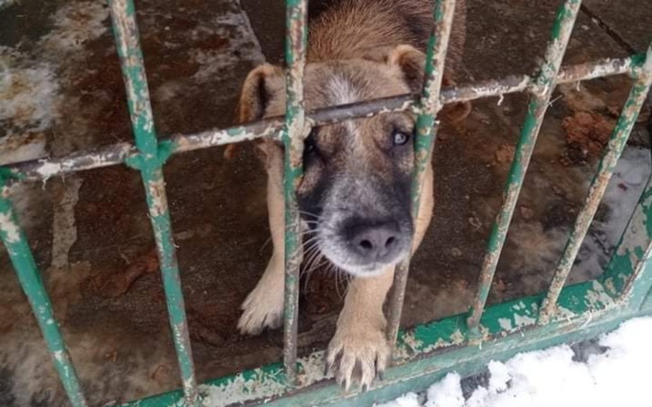 Zbiórka Gryzłem kraty, żeby wyjść - zdjęcie główne