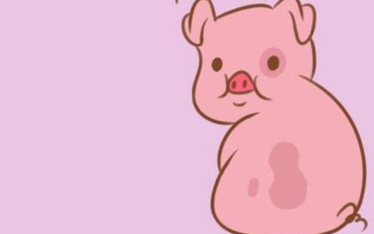 Zbiórka Jeedzonkoo - zdjęcie główne