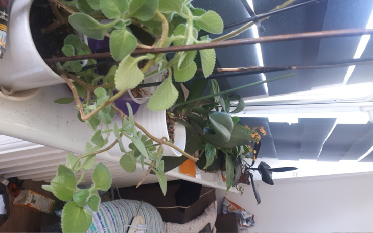 Zbiórka By nie być bezdomnym - zdjęcie główne