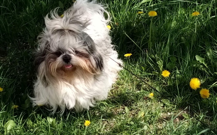 Zbiórka Na specjalistyczną diagnostykę - zdjęcie główne