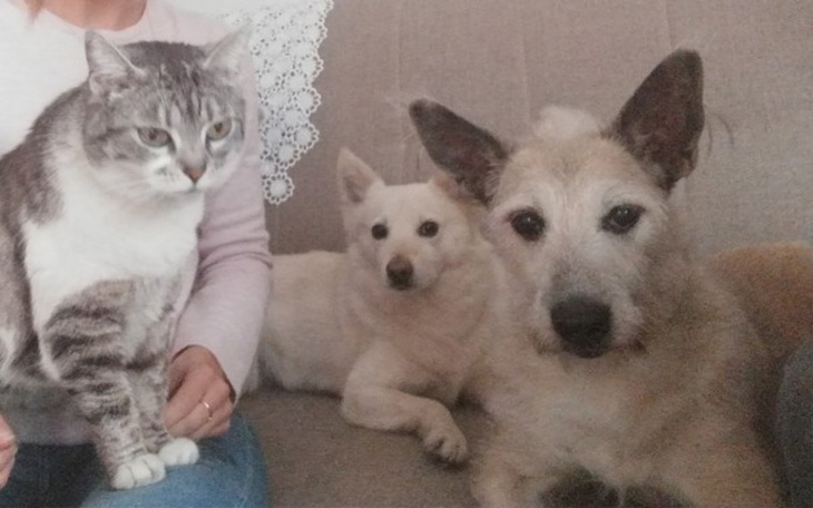 Zbiórka Trochę miejsca na ziemi - zdjęcie główne