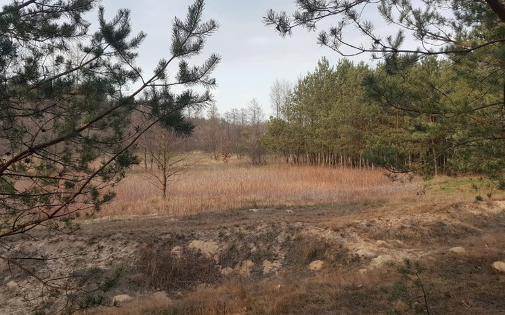 Zbiórka Domek g - zdjęcie główne