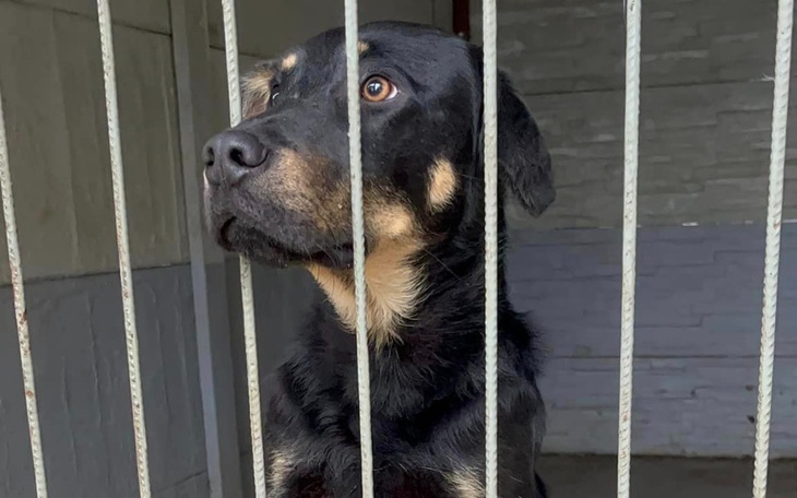 Zbiórka Ostatnia szansa dla Barego- dom - zdjęcie główne