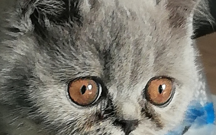 Zbiórka Zbieram na stworzenie zespołu - zdjęcie główne