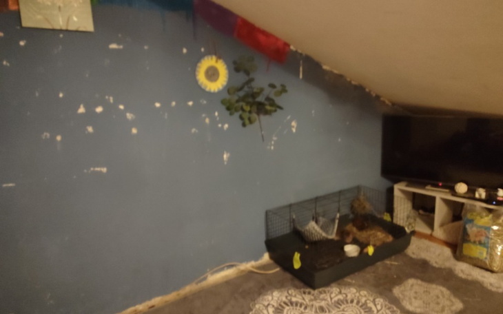 Zbiórka Odnowienie pokoju. - zdjęcie główne