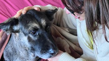 Zbiórka Nie mogliśmy jej stracić - miniaturka zdjęcia