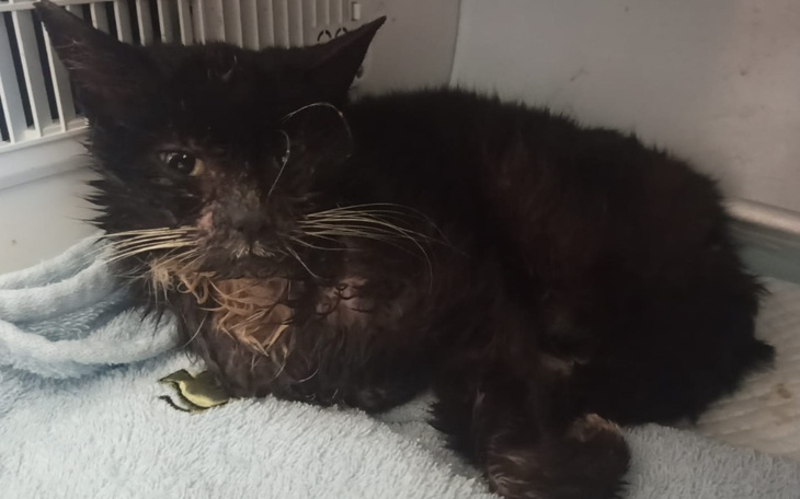 Zbiórka Maleństwo walczy o życie - zdjęcie główne