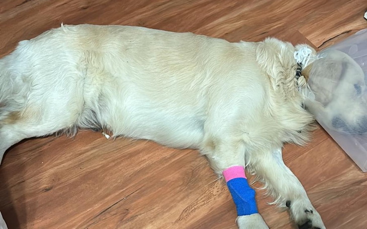 Zbiórka Na Tomografie i rezonans Cezara - zdjęcie główne